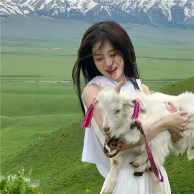 亲爱的客栈第一季