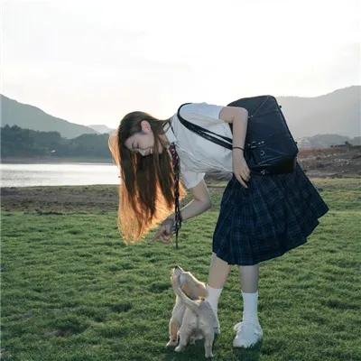 警犬来啦